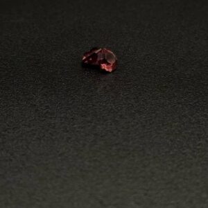 пара Гранатів — 2.65 ct